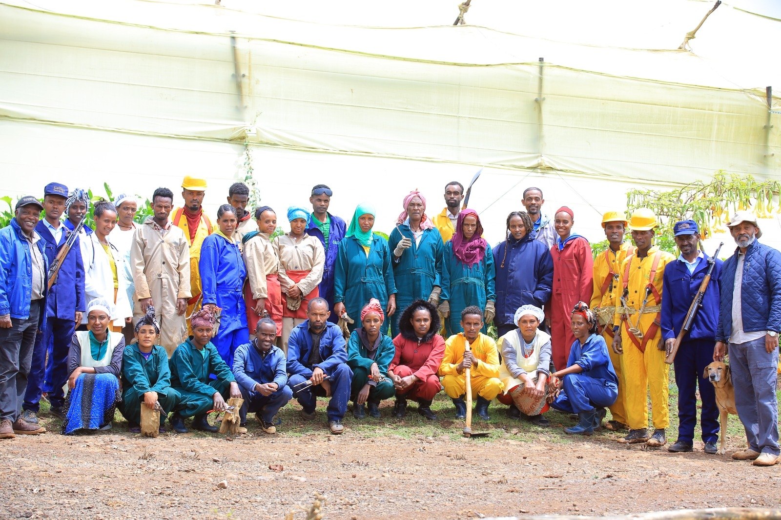 The Gallica Flowers team